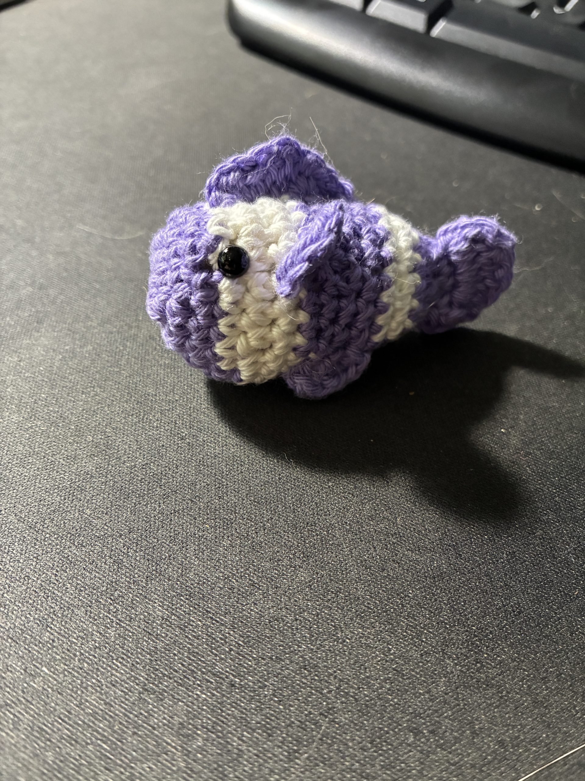 Purple and white goldfish