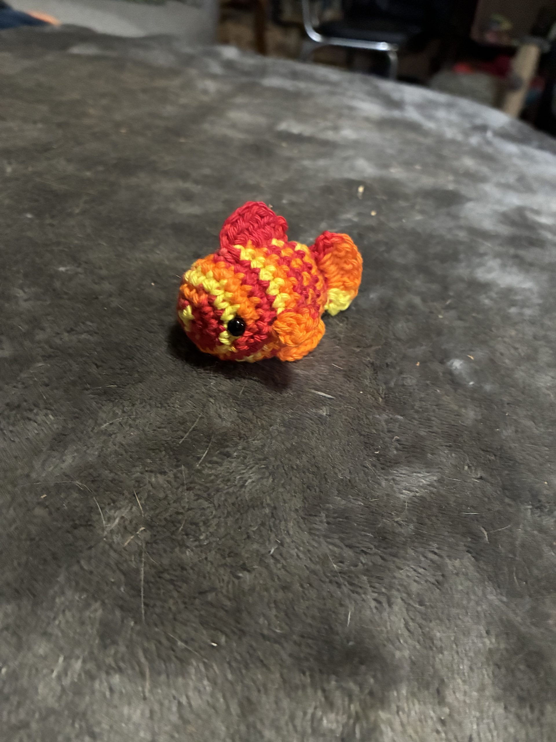 Single orange and yellow goldfish