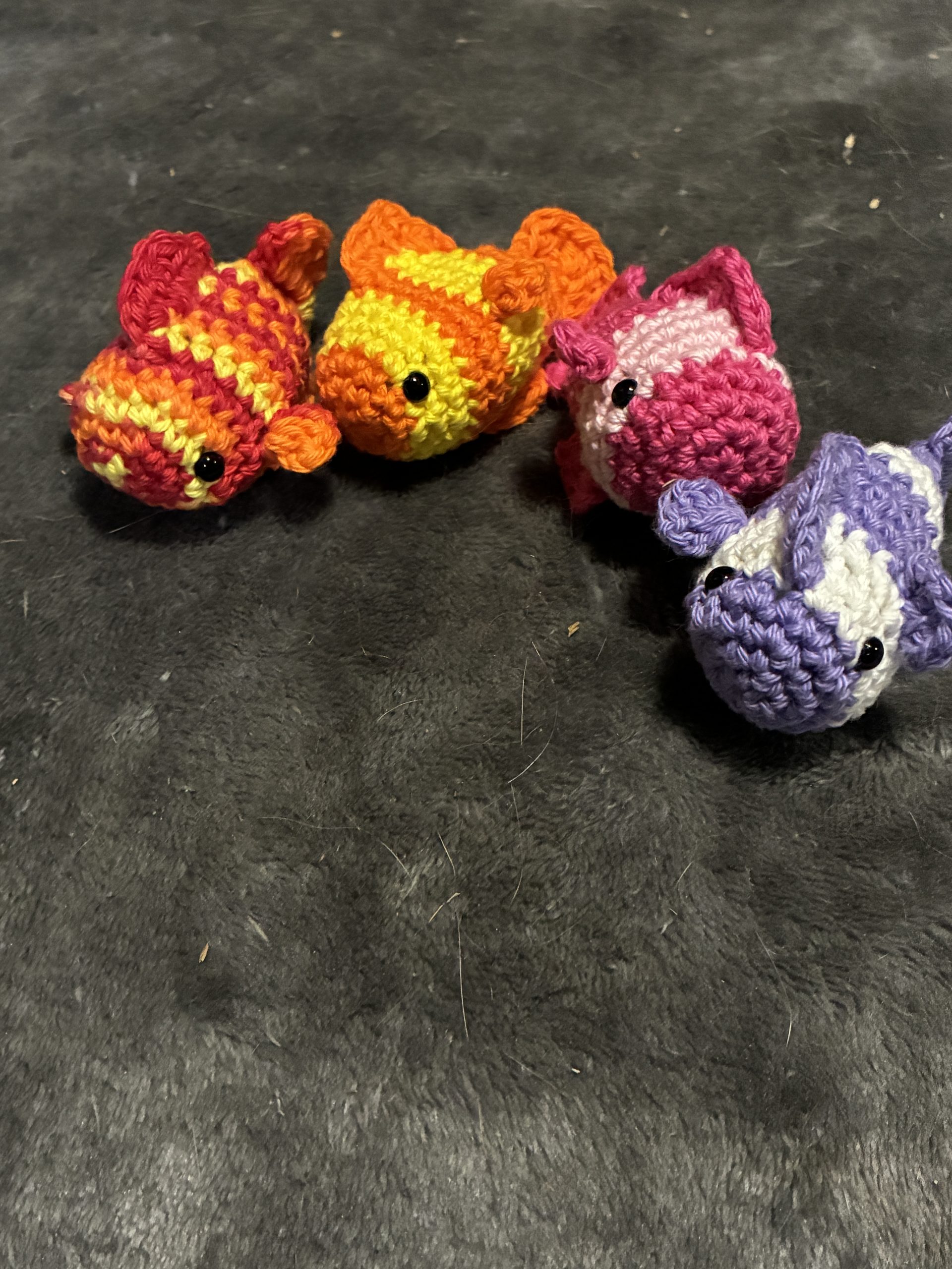 Group of goldfish